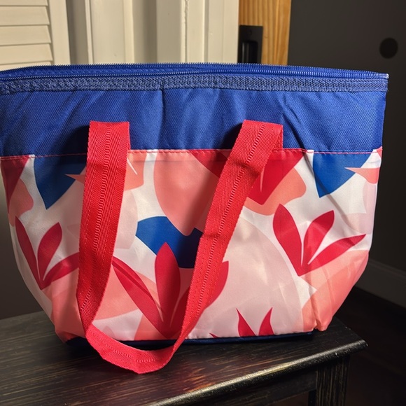 Women’s Igloo insulated lunch bag nwot - Picture 4 of 5